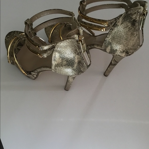 Paprika - Picture 5 of 6